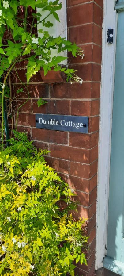 Dumble Cottage مينهيد المظهر الخارجي الصورة